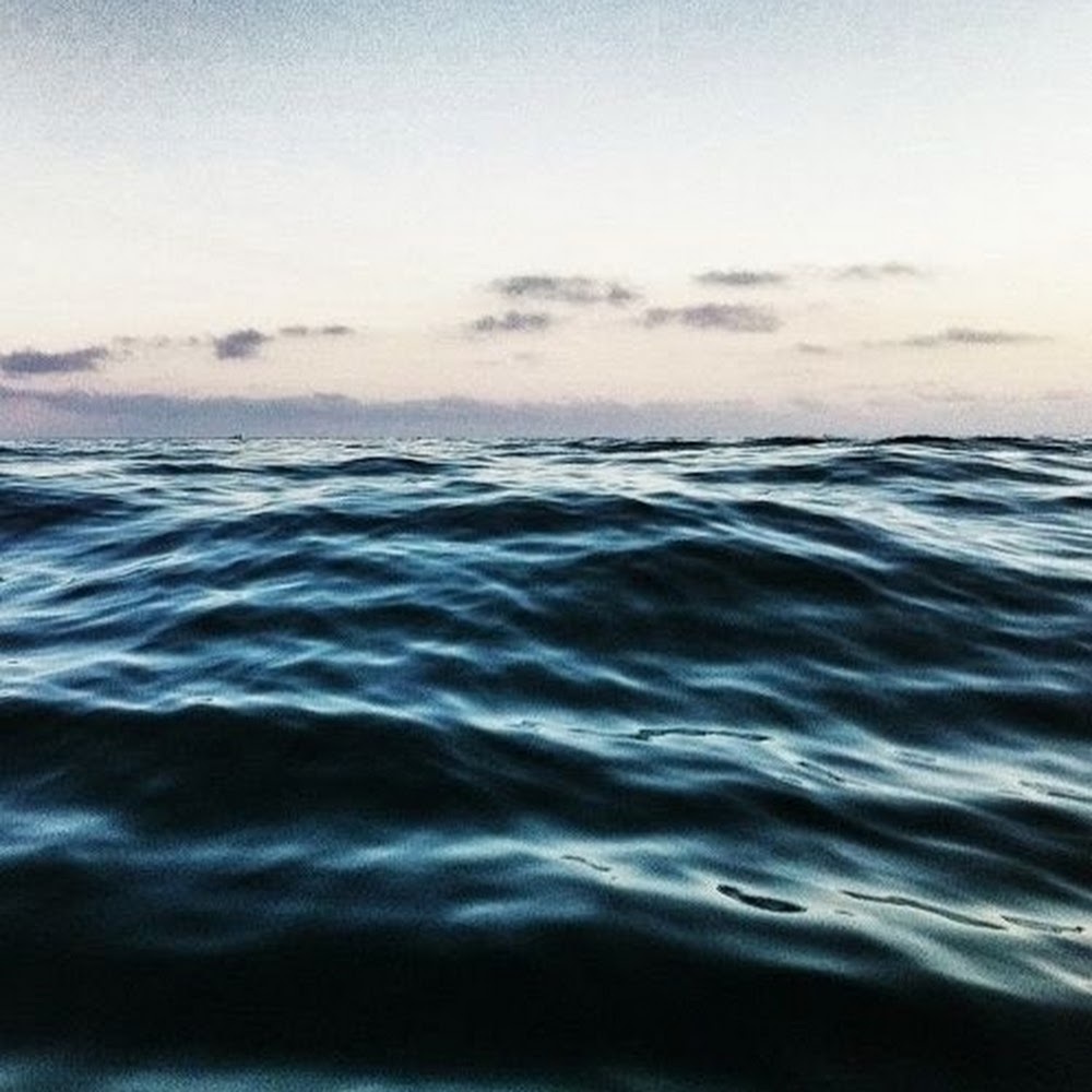 Meet your Posher, Isabelle